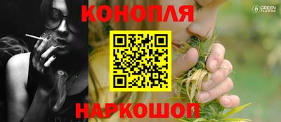 сатива Аргун