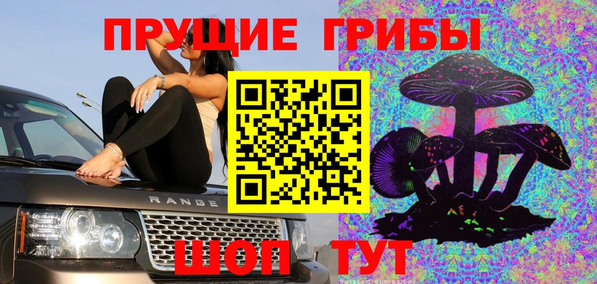 Братск  Галлюциногенные грибы Magic Shrooms  Вход с VPN  Галлюциногенные грибы Cubensis 